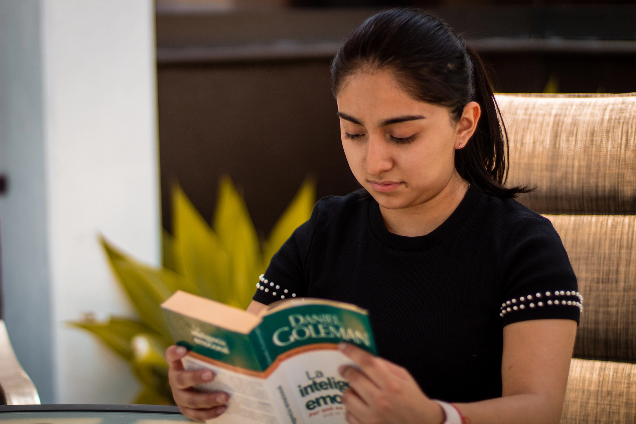 Galería Hacienda Solarium 1