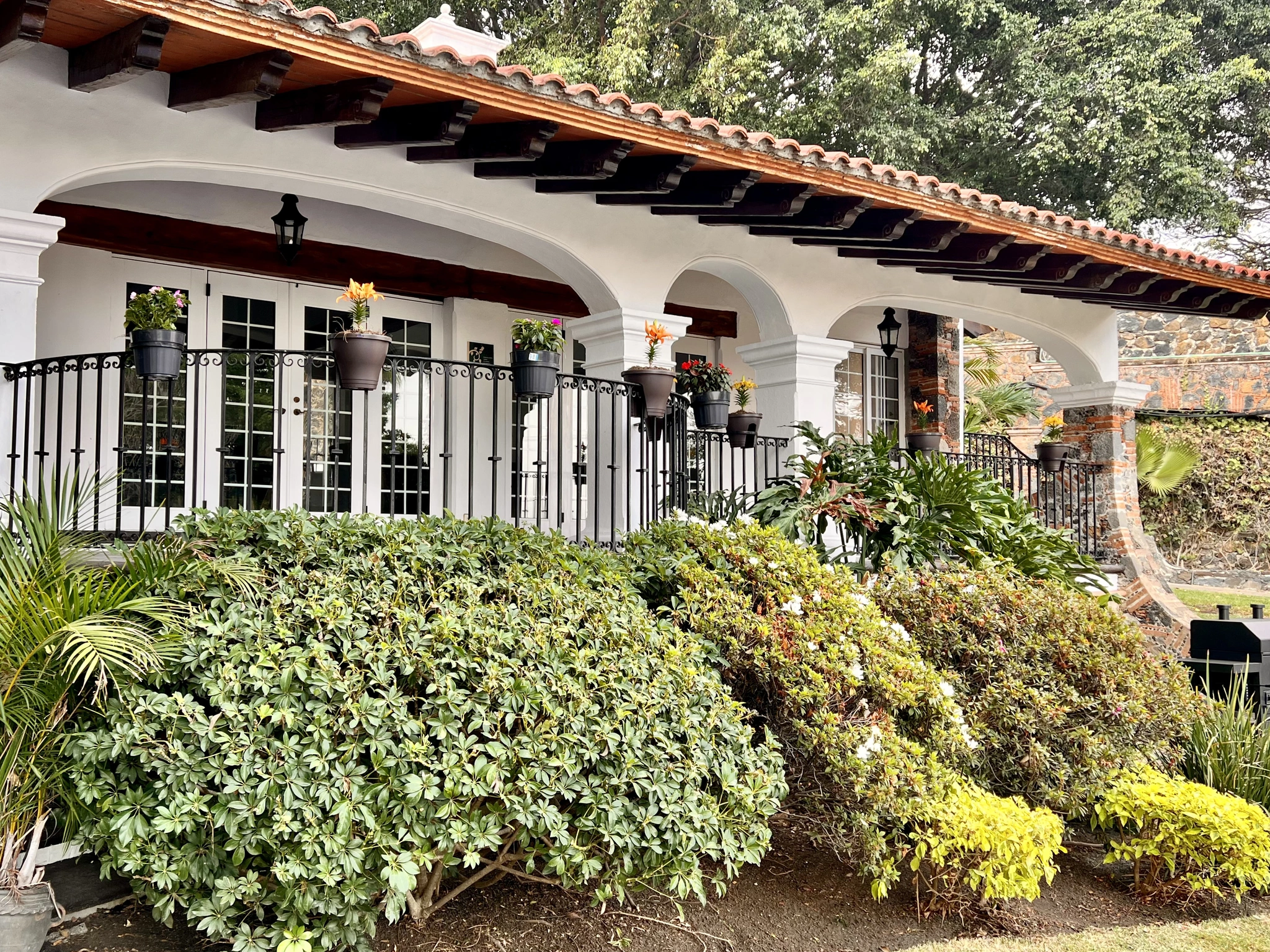 Galería Clínica Concordia 1