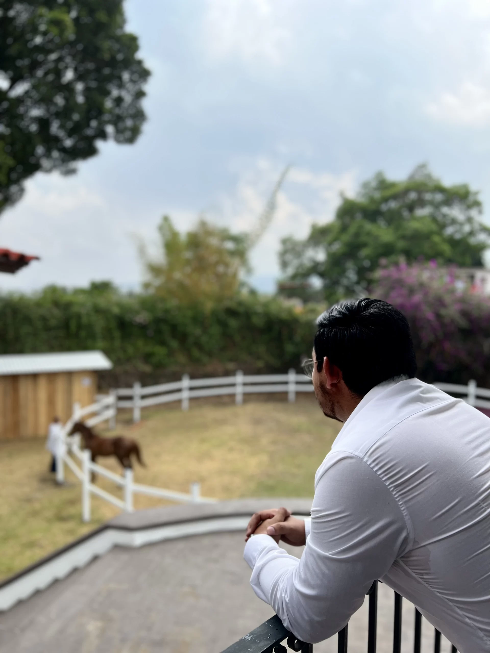 Galería Clínica Concordia 2